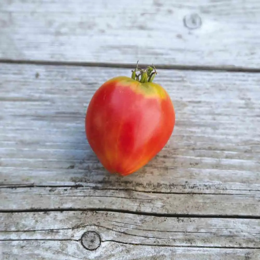 TOMATE GERMAN RED STRAWBERRY AB 