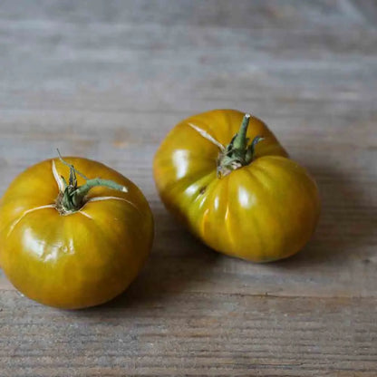 TOMATE GREEN VELVET AB 