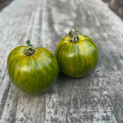 TOMATE GREEN ZEBRA AB 