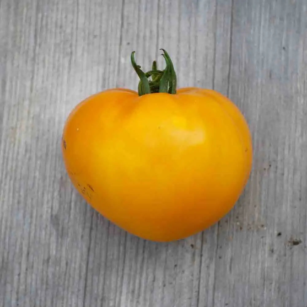 TOMATE LIMMONY AB 