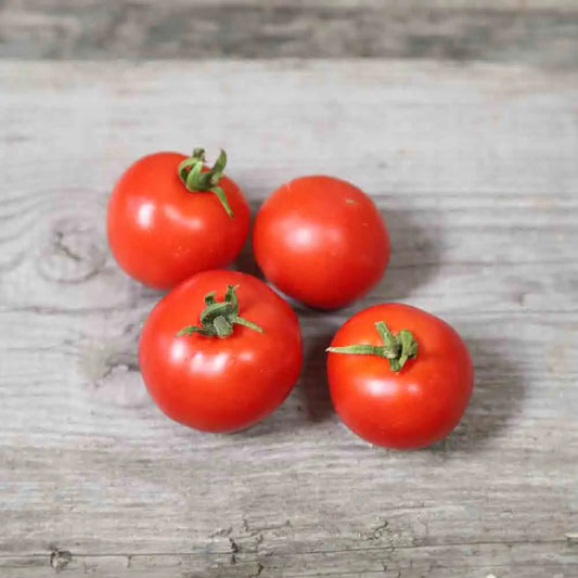 TOMATE MAJA AB 
