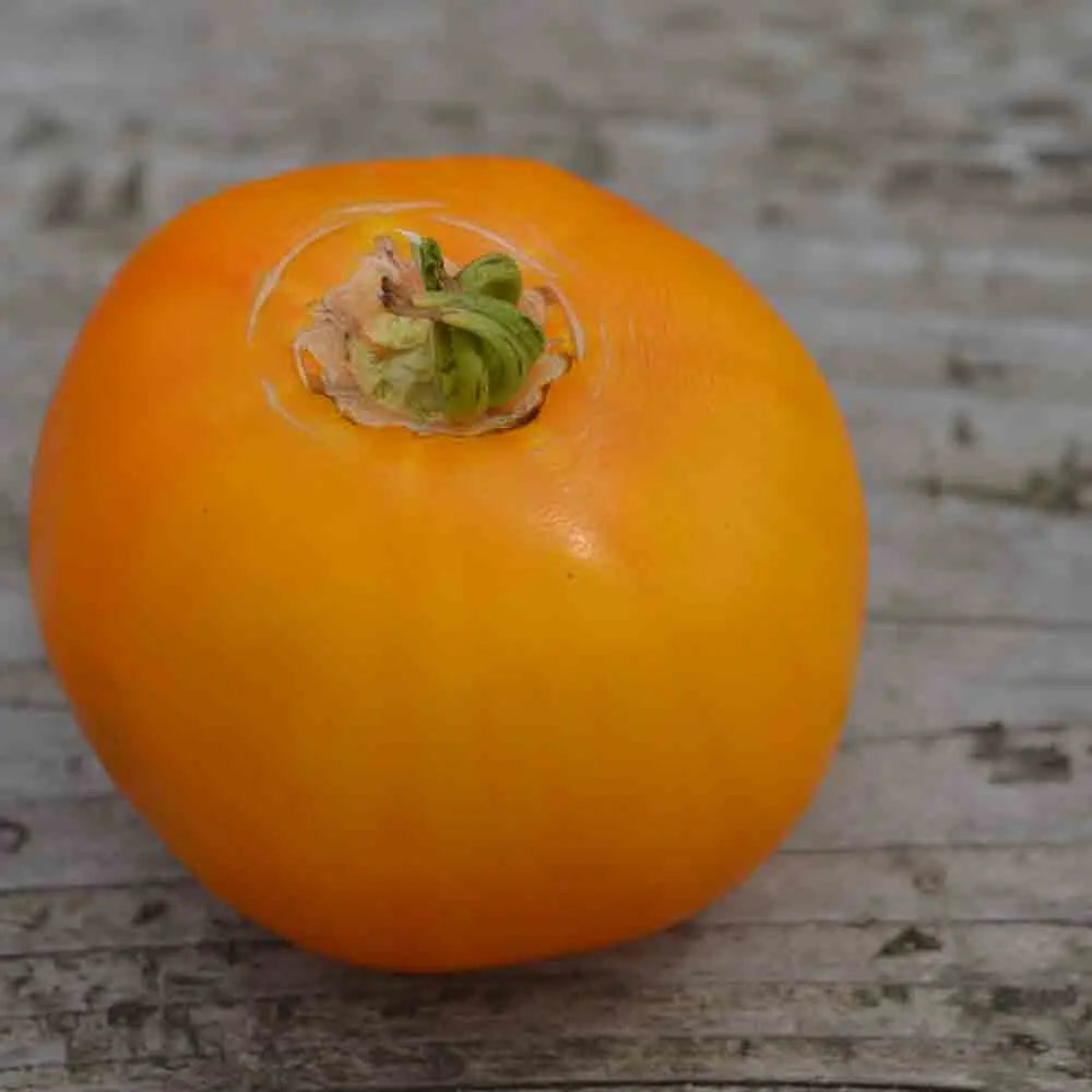 TOMATE MANYEL AB 