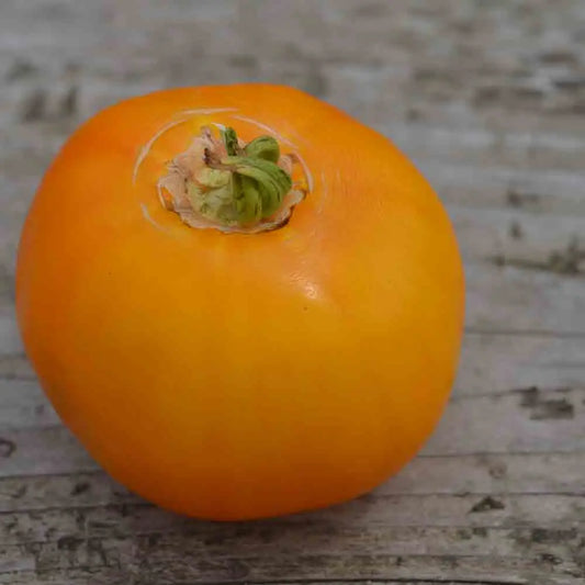 TOMATE MANYEL AB 