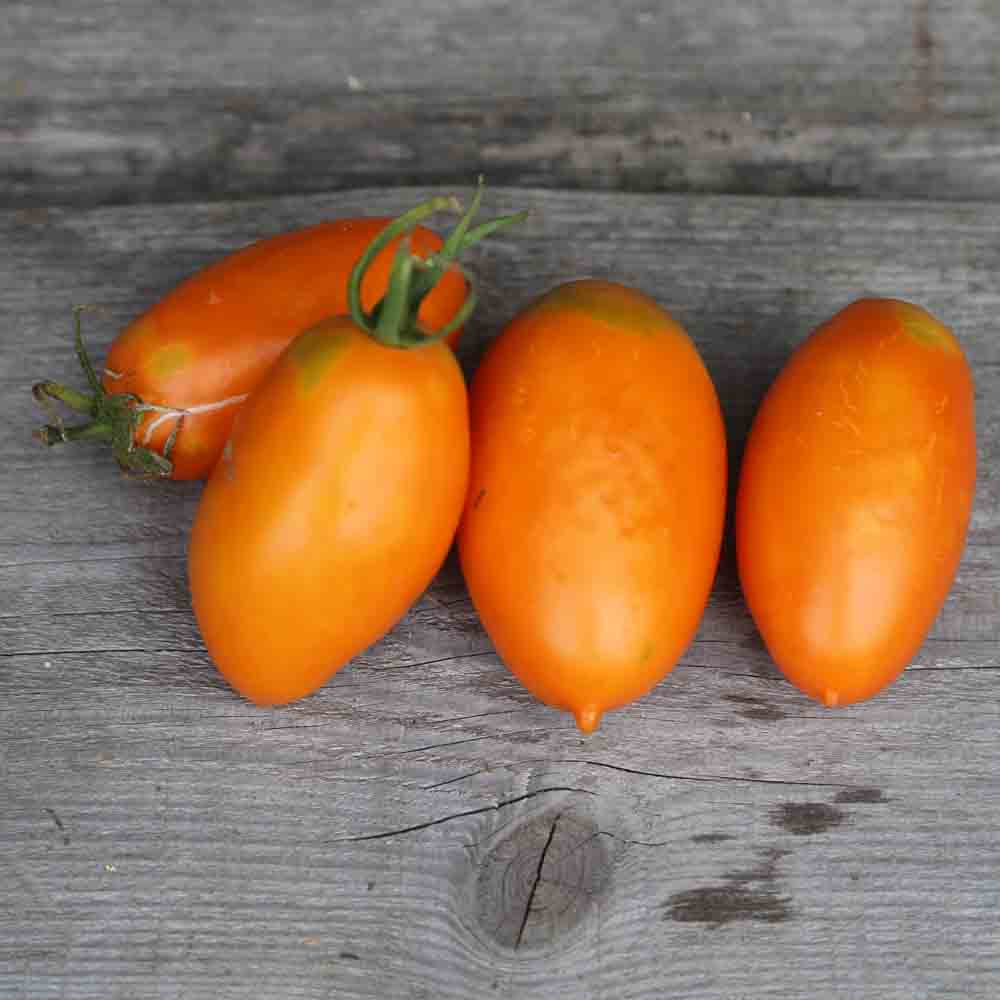 TOMATE ORANGE BANANA AB 