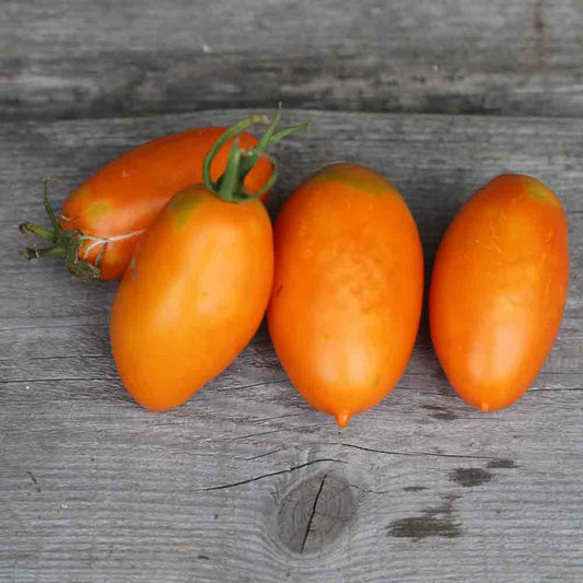 TOMATE ORANGE BANANA AB 