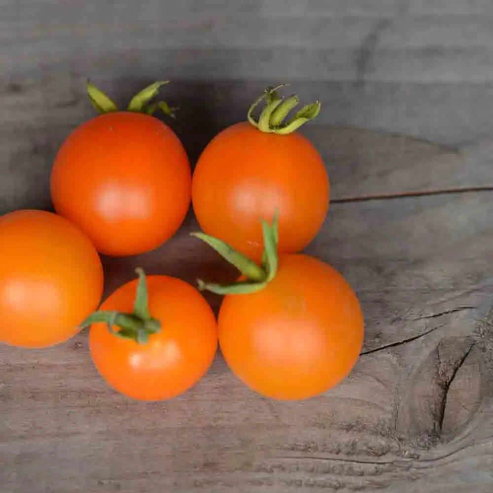 TOMATE ORANGE BERRY AB 