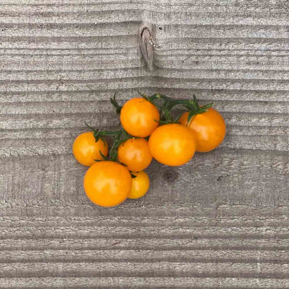 TOMATE ORANGE HAT AB 