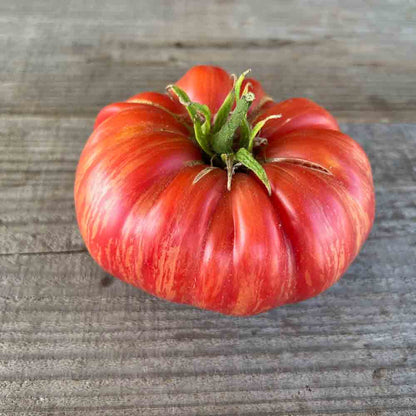 TOMATE PINK JAZZ AB 