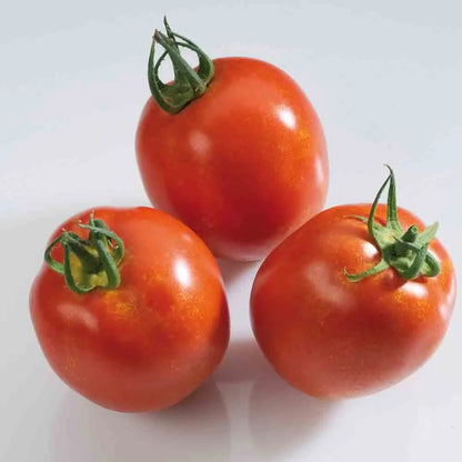 TOMATE RIO GRANDE AB 