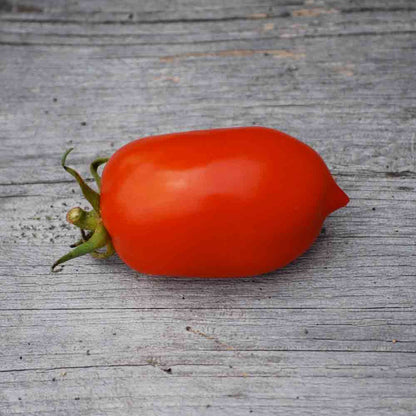 TOMATE ROMA VF AB 