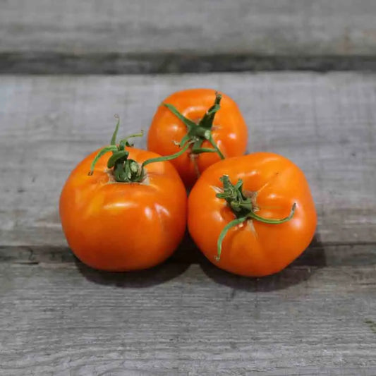 TOMATE VALENCIA AB 