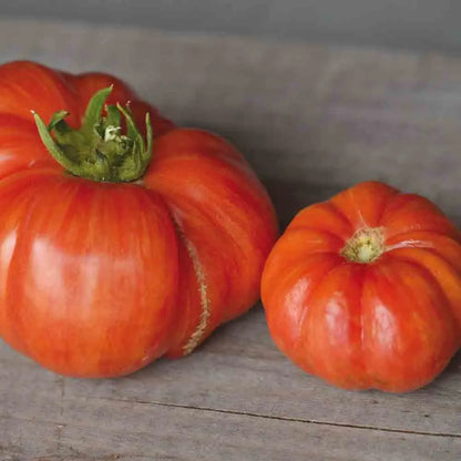 TOMATE VINTAGE WINE AB 