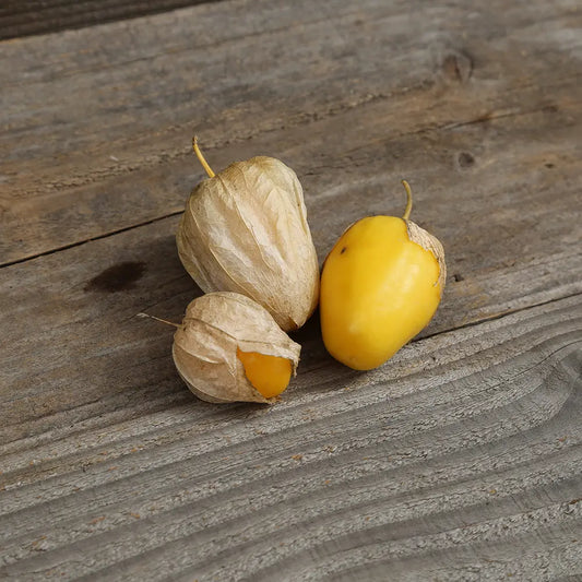 TOMATILLO QUEEN OF MALINALCO AB 