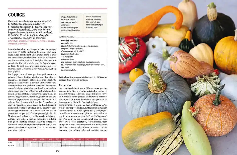 TOUS LES LEGUMES, POUR UNE AUTONOMIE ALIMENTAIRE RETROUVEE 