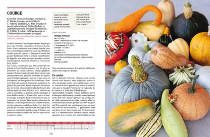 TOUS LES LEGUMES, POUR UNE AUTONOMIE ALIMENTAIRE RETROUVEE 