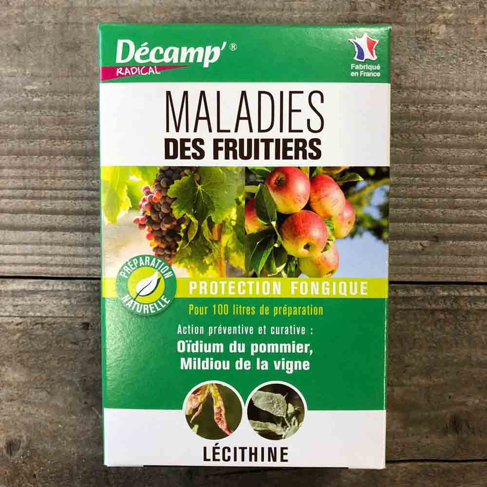 TRAITEMENT MALADIES ARBRES FRUITIERS (CLOQUE DU PECHER ET OIDIUM DU POMMIER) 