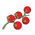 Cherry tomatoes