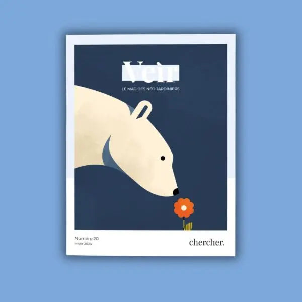 VEIR MAGAZINE -  n°20 Chercher 